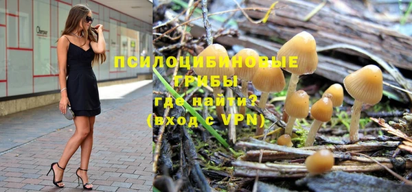 синтетический гашиш Заводоуковск