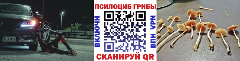 Купить  Вытегра  Галлюциногенные грибы прущие грибы 