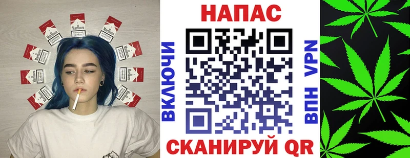 Шишки марихуана планчик  Купить где  Вытегра 